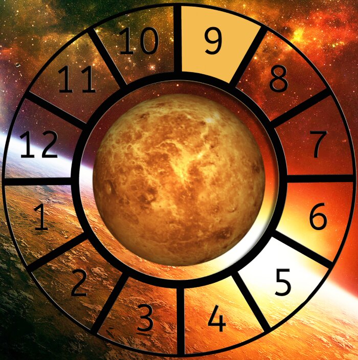Venus shown within a Astrological House wheel highlighting the 9th House